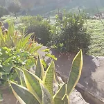 别墅 Df Alojamentos E