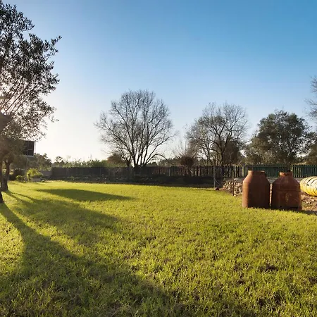 Df Alojamentos E Коимбра