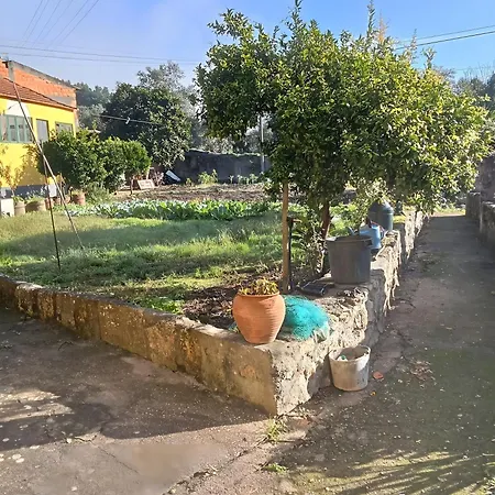 Вилла Df Alojamentos E *