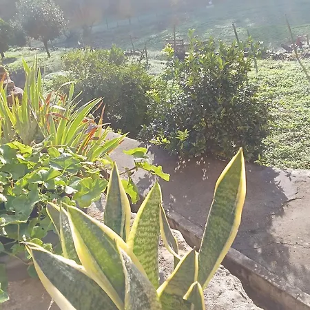 Villa Df Alojamentos E