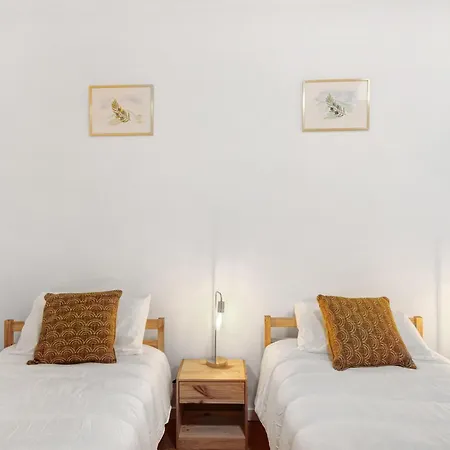 Df Alojamentos E Coimbra