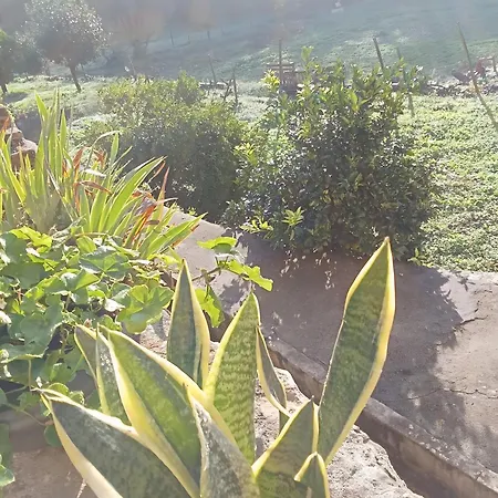 Df Alojamentos E 别墅 科英布拉