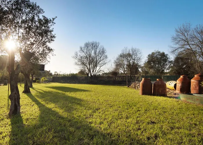 Df Alojamentos E Коимбра