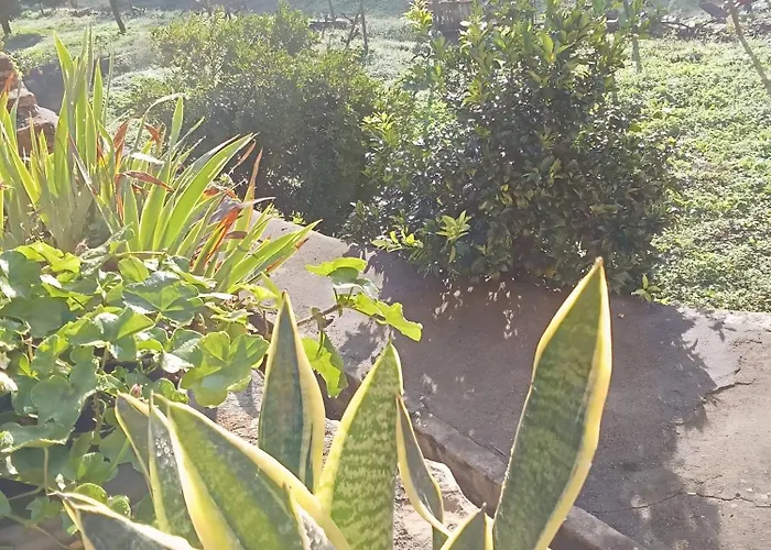 Villa Df Alojamentos E