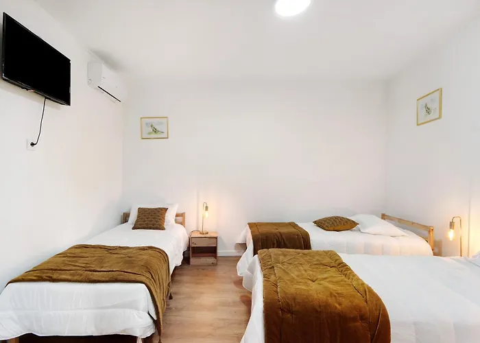 Df Alojamentos E * Coimbra