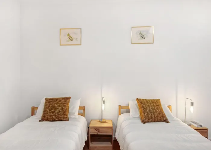 Df Alojamentos E コインブラ