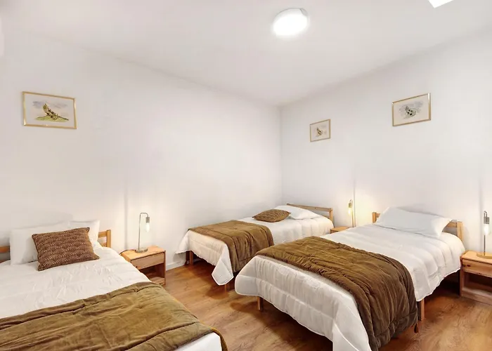 Villa Df Alojamentos E Coimbra